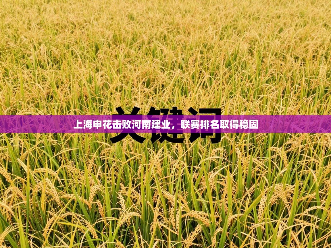 上海申花击败河南建业，联赛排名取得稳固  第2张