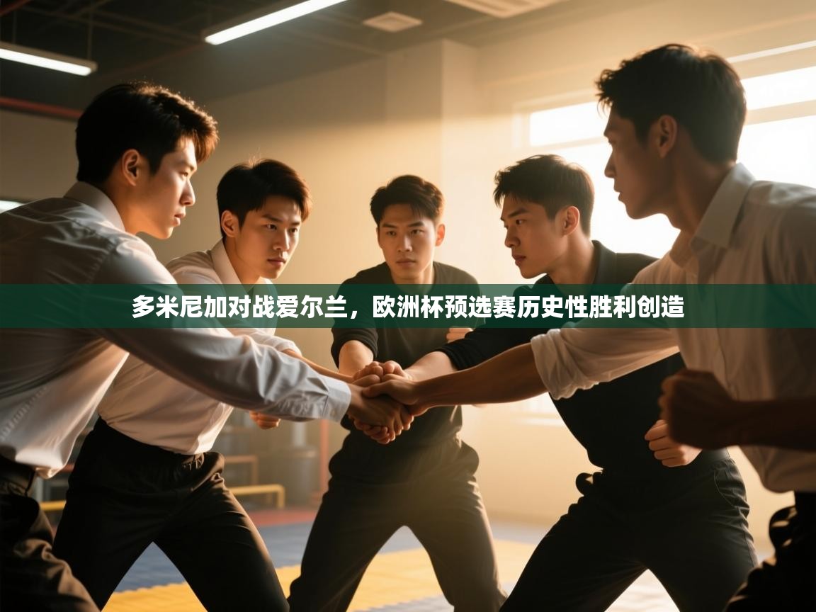 多米尼加对战爱尔兰,欧洲杯预选赛历史性胜利创造 第2张