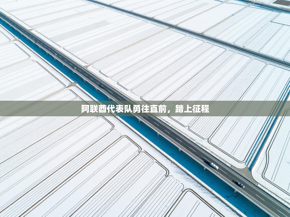 阿联酋代表队勇往直前,踏上征程 第2张