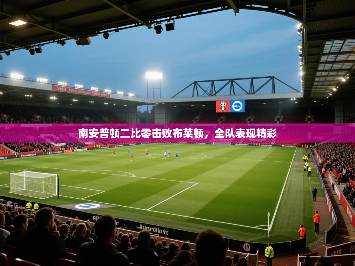 南安普顿二比零击败布莱顿，全队表现精彩  第1张