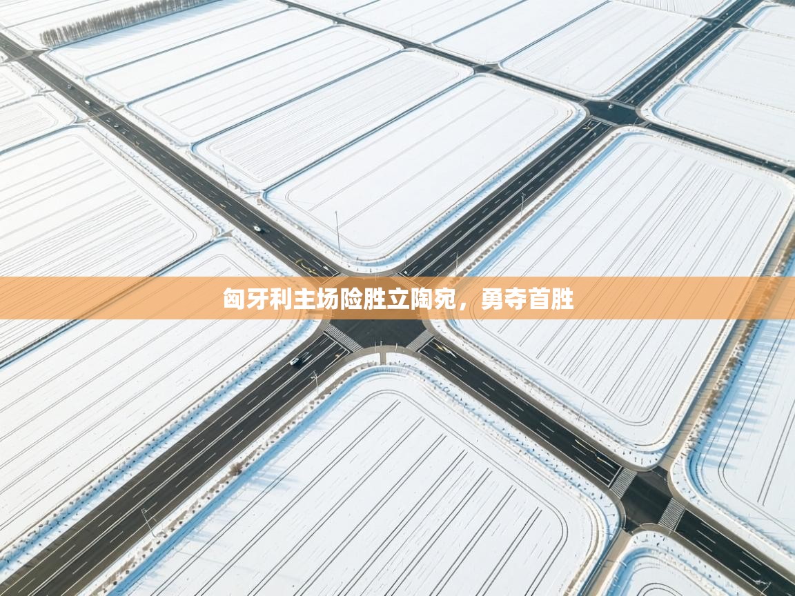 匈牙利主场险胜立陶宛，勇夺首胜  第2张