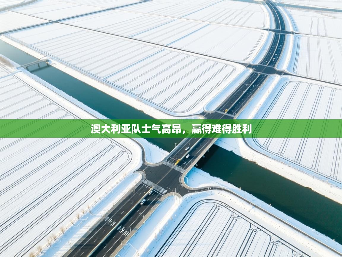 澳大利亚队士气高昂，赢得难得胜利  第2张