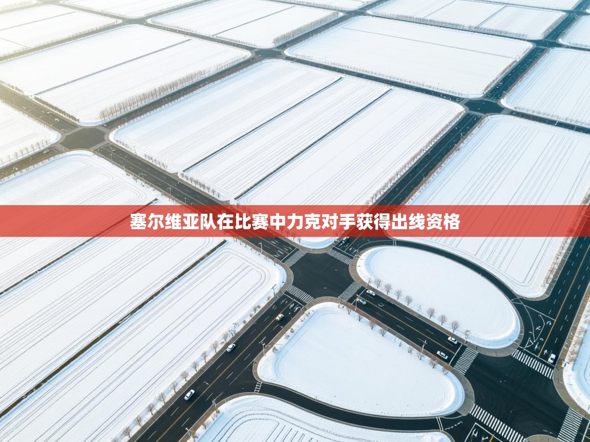 塞尔维亚队在比赛中力克对手获得出线资格  第1张