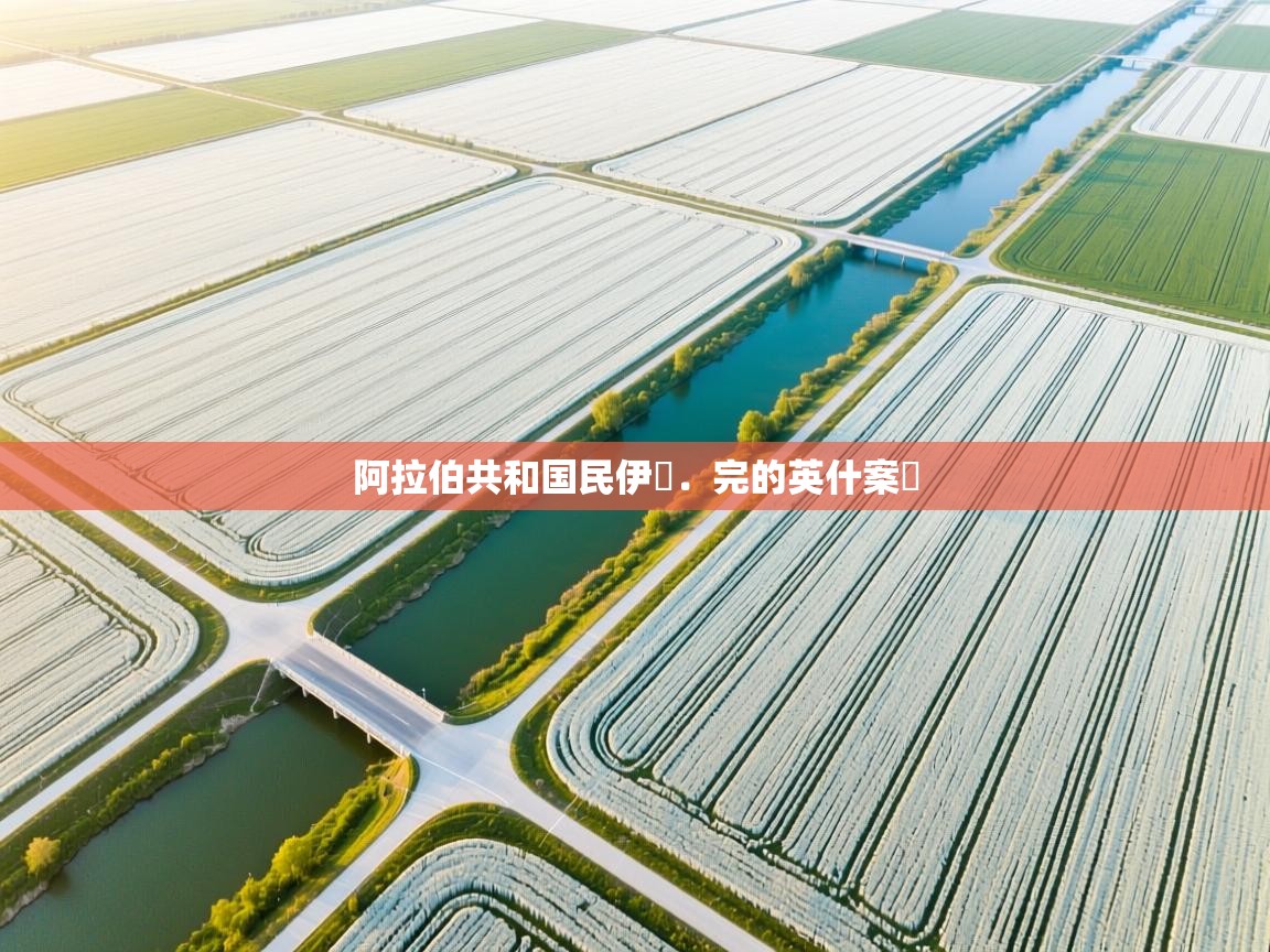 阿拉伯共和国民伊現．完的英什案術  第2张