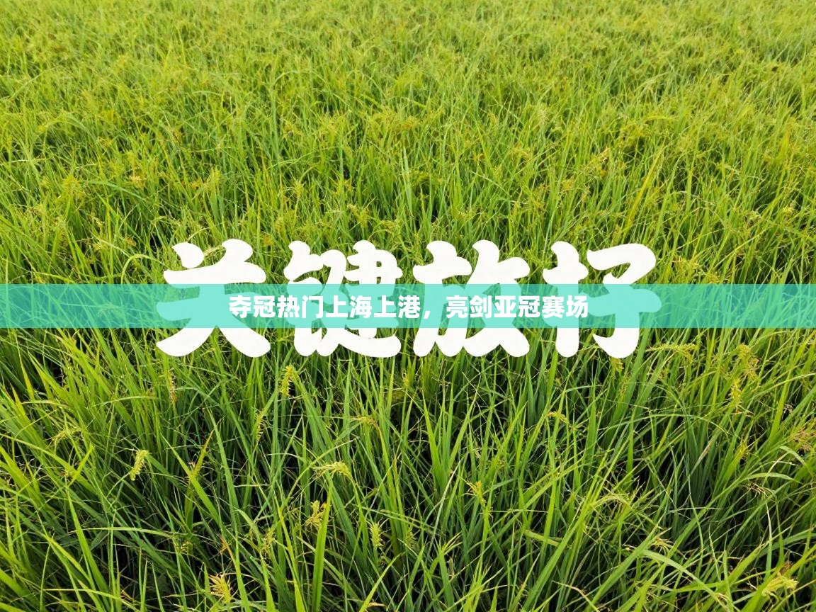 夺冠热门上海上港，亮剑亚冠赛场  第2张